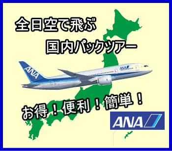 ANA�����p�b�N�c�A�[