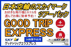 スカイマークのグッドトリップエクスプレス